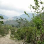 This is the primary coffee access road from the mountains down into the town of Peralta where the coffee is dried. Altitude is appx. 2000 feet. Photo by Barth Anderson.