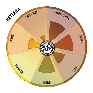 Ketiara – Barrington Coffee Roasting Company