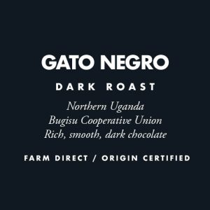 Gato Negro