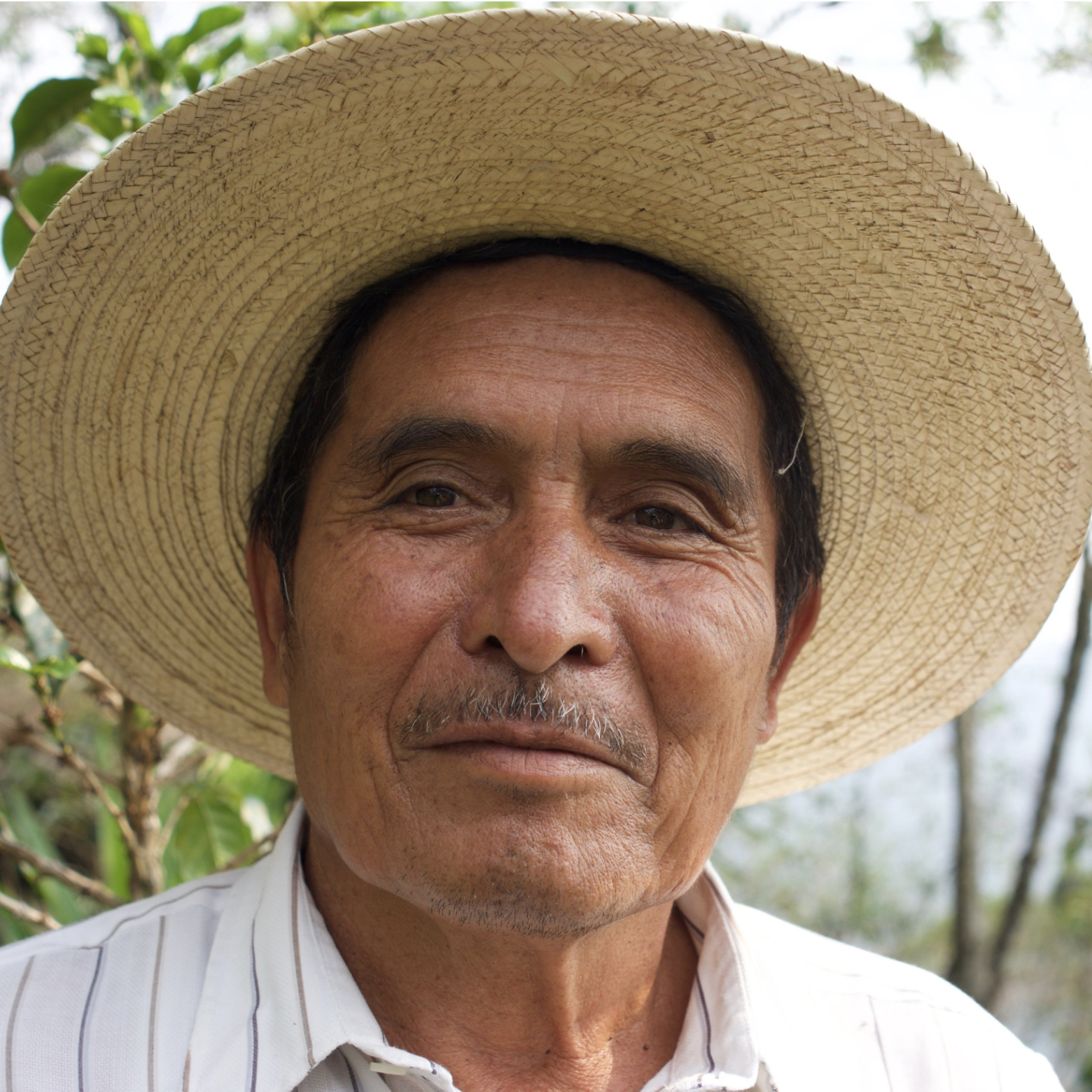 Los Dos Socios - Image 2